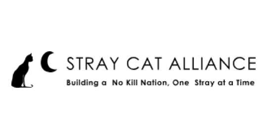 Stray Cat Alliance